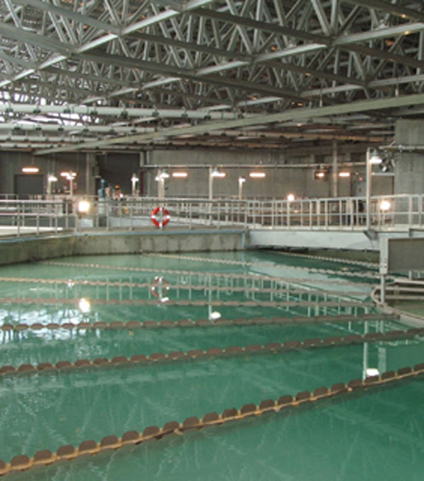 wwtp 1